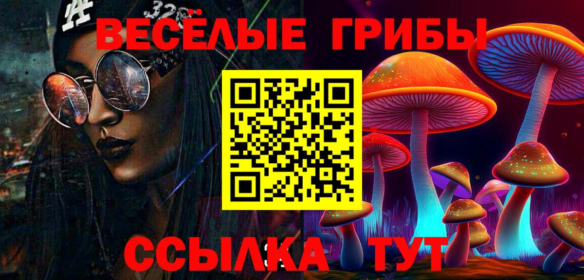 Псилоцибиновые грибы GOLDEN TEACHER  Галлюциногенные грибы Magic Shrooms  Кингисепп  Вход с VPN 