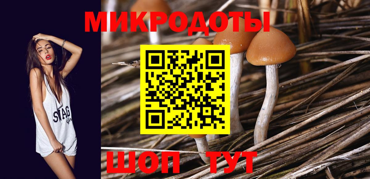 Галлюциногенные грибы мухоморы Кингисепп